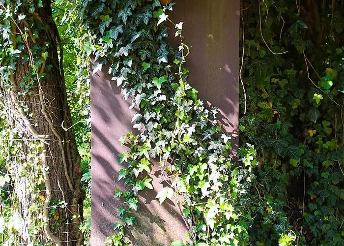 Birkenhof Gæstehus Hengersberg